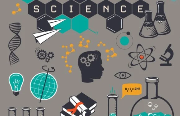 Mindu Blog - Latest Articles and Educational Resources for Online Learning