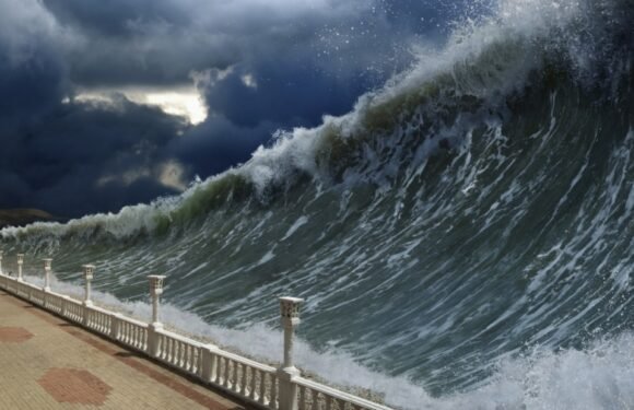 1 Tsunami Awareness Day