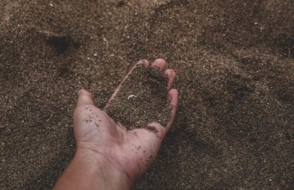 Soiling or Spoiling the Earth: Looking at World Soil Day