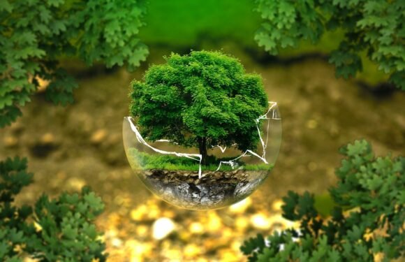 The Pursuit of the Universe: Celebrating World Environment Day