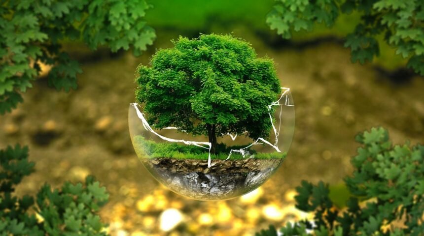 The Pursuit of the Universe: Celebrating World Environment Day