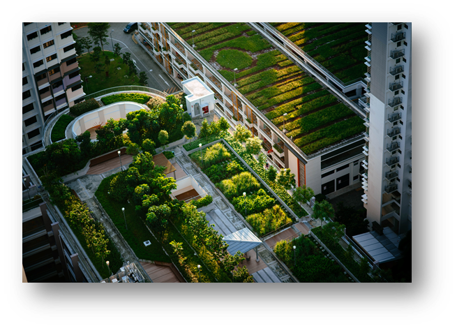 Celebrating World Green Roof Day