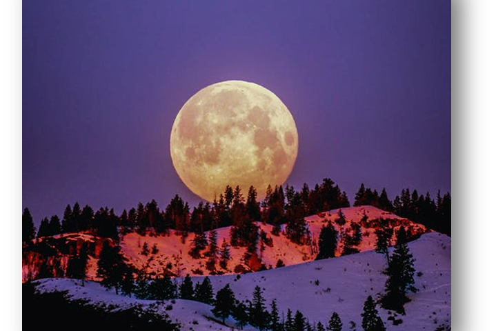 Ode to Strawberry Full Moon